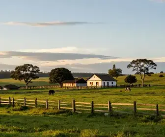 A Fascinante História do Rio Grande do Sul: Terra de Tradições