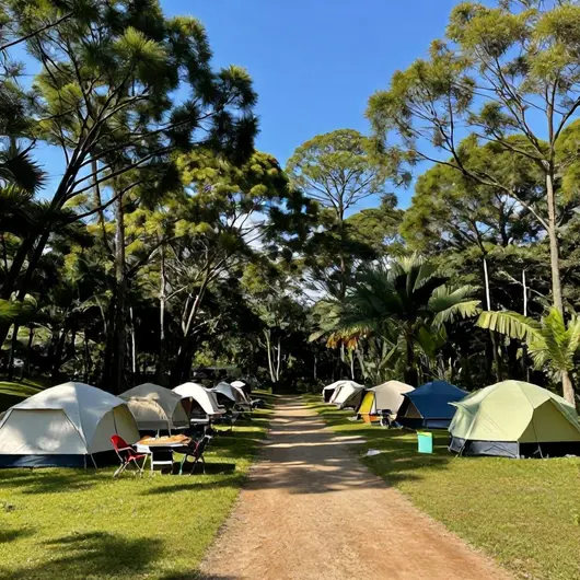 Camping Municipal Antônio Alfonsin Simchen