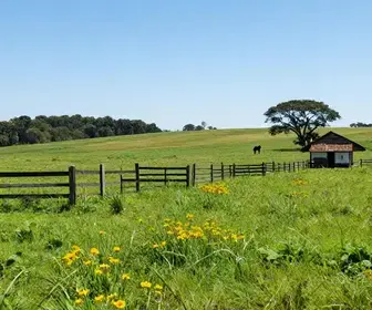 Cultura e Tradição no Rio Grande do Sul: Um Mergulho em Suas Raízes
