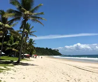 Descubra a Praia de Cidreira: Um Paraíso no Litoral do Rio Grande do Sul Descubra a Praia de Cidreira: Um Paraíso no Litoral do Rio Grande do Sul