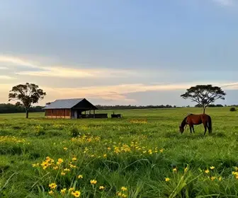 Descubra a Rica Cultura do Pampa Gaúcho no Rio Grande do Sul Descubra a Rica Cultura do Pampa Gaúcho no Rio Grande do Sul