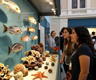 Descubra o Museu Oceanográfico de Rio Grande: Um Olhar sobre a Vida Marinha