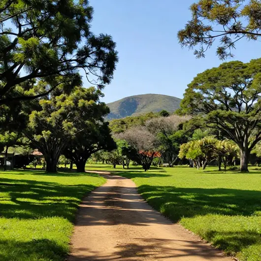 Descubra o Parque Estadual do Tainhas