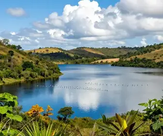 Descubra o Parque Nacional da Lagoa do Peixe: Natureza e Biodiversidade no Rio Grande do Sul Descubra o Parque Nacional da Lagoa do Peixe: Natureza e Biodiversidade no Rio Grande do Sul