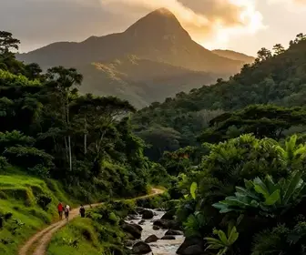 Descubra o Que Fazer em São José dos Ausentes, Um Destino Encantador no RS Descubra o Que Fazer em São José dos Ausentes, Um Destino Encantador no RS