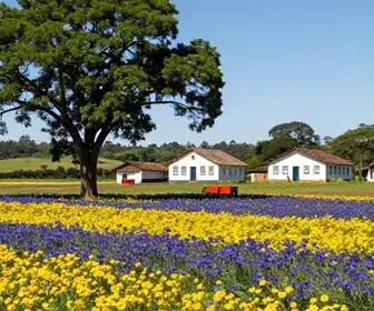 Descubra o Rio Grande do Sul na Primavera: Belezas Naturais e Culturas