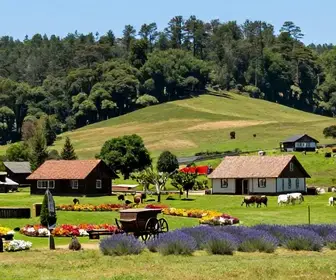 Descubra o Turismo Rural em Gramado: Experiências Inesquecíveis Descubra o Turismo Rural em Gramado: Experiências Inesquecíveis