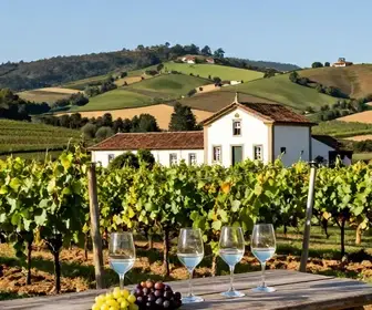 Descubra o Vale dos Vinhedos: Um Guia Completo para o Enoturismo no Rio Grande do Sul