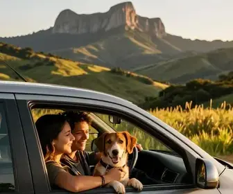 Dicas para Viajar com seu Pet pelo Rio Grande do Sul Dicas para Viajar com seu Pet pelo Rio Grande do Sul