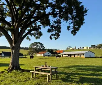 Explorando as Estâncias do Pampa Gaúcho: Turismo Rural no Rio Grande do Sul