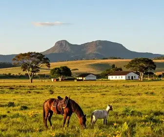 Explorando o Pampa Gaúcho: Culturas e Paisagens do Sul do Brasil Explorando o Pampa Gaúcho: Culturas e Paisagens do Sul do Brasil