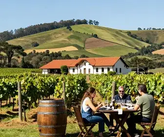 Explore a Vinícola Don Giovanni: O Melhor do Enoturismo no Rio Grande do Sul Explore a Vinícola Don Giovanni: O Melhor do Enoturismo no Rio Grande do Sul