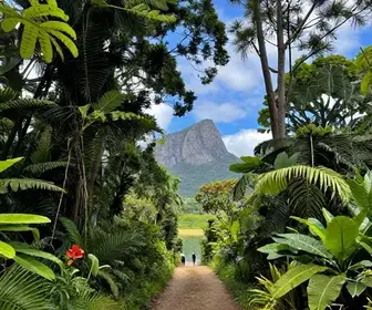 Explore as Melhores Trilhas do Rio Grande do Sul: Um Guia Completo Explore as Melhores Trilhas do Rio Grande do Sul: Um Guia Completo
