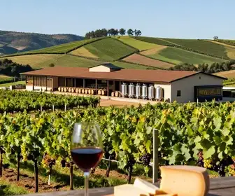 Explore o Mundo do Vinho na Cave Geisse