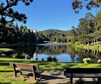Lago Negro: O Refúgio Natural em Gramado