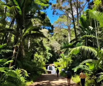 Melhores parques e trilhas no Rio Grande do Sul: 23 opções imperdíveis
