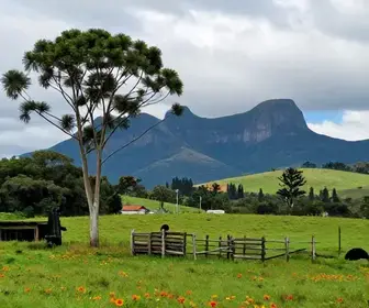 Tudo sobre o Clima no Rio Grande do Sul: Dicas e Curiosidades Tudo sobre o Clima no Rio Grande do Sul: Dicas e Curiosidades